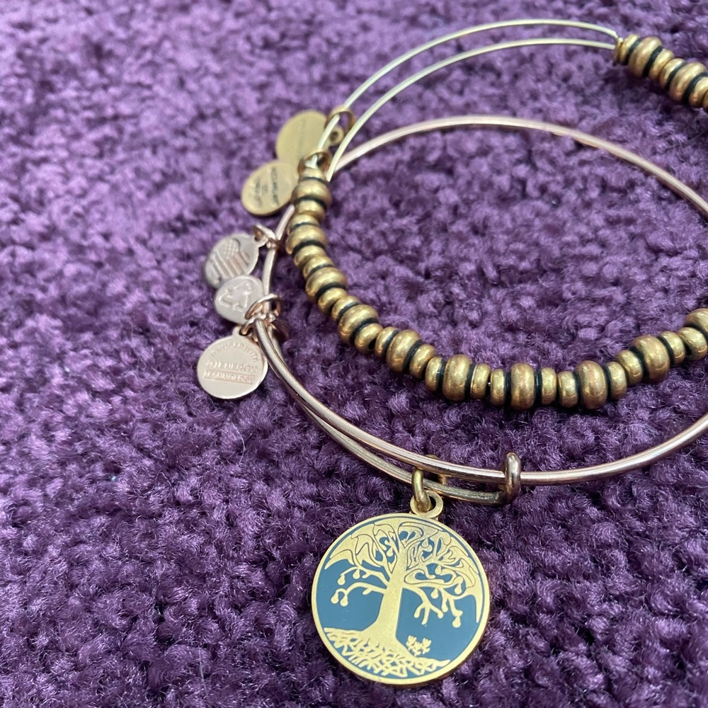 Alex and Ani Tree of Life Bracelet
